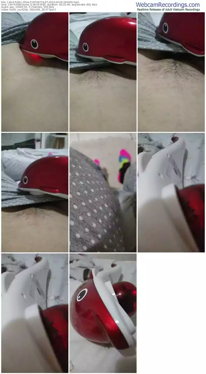 2023/04/09/cam4-inthetoilet-03-43-30