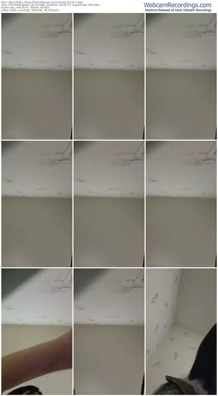 2023/04/09/cam4-frenchbeauy-21-32-16