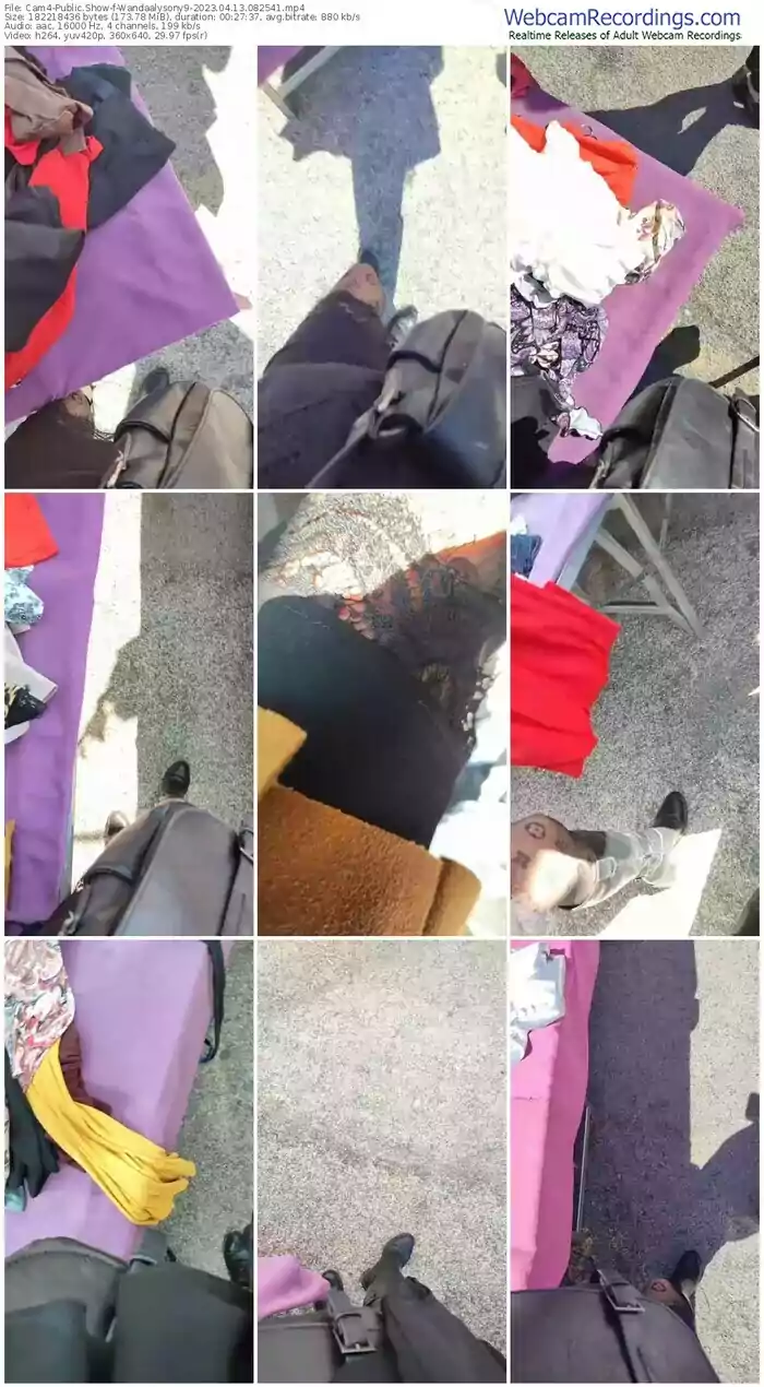 2023/04/13/cam4-wandaalysony9-08-25-41