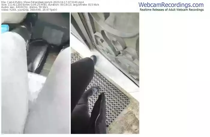 2023/04/17/cam4-wandaalysony9-07-31-40