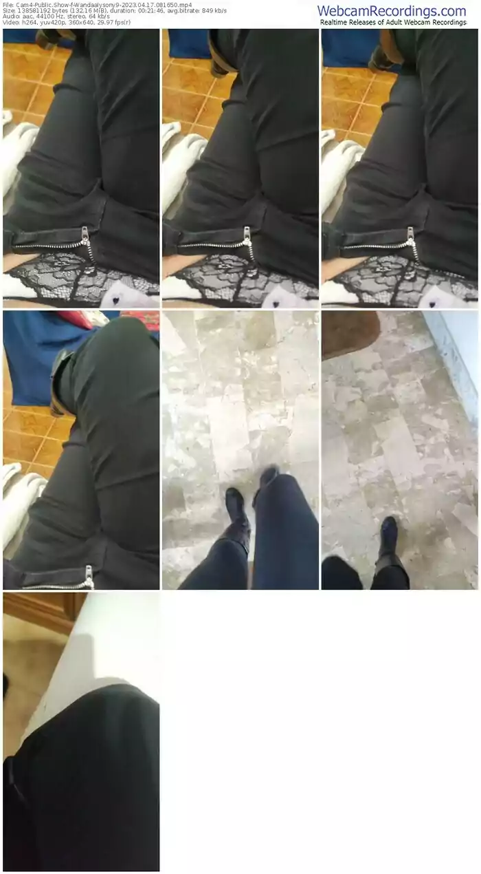 2023/04/17/cam4-wandaalysony9-08-16-50
