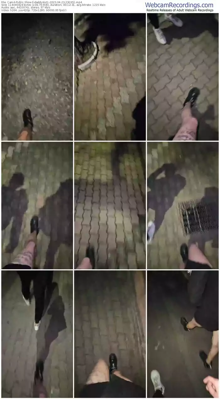 2023/04/23/cam4-daddyslut1-23-03-51