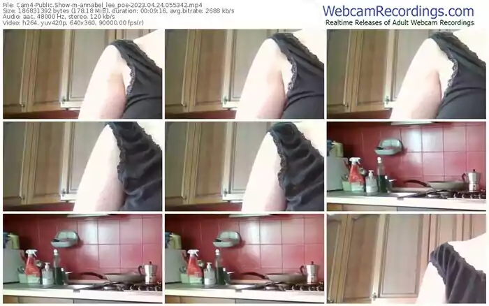 2023/04/24/cam4-annabel_lee_poe-05-53-42
