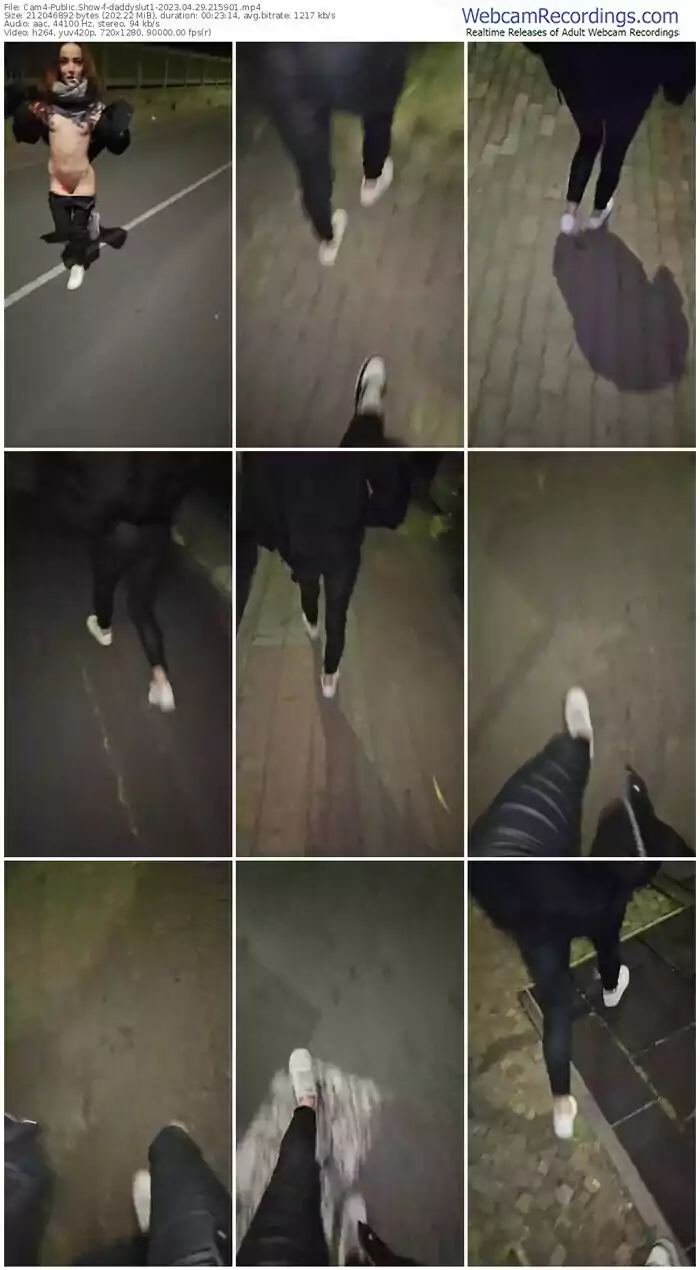2023/04/29/cam4-daddyslut1-21-59-01