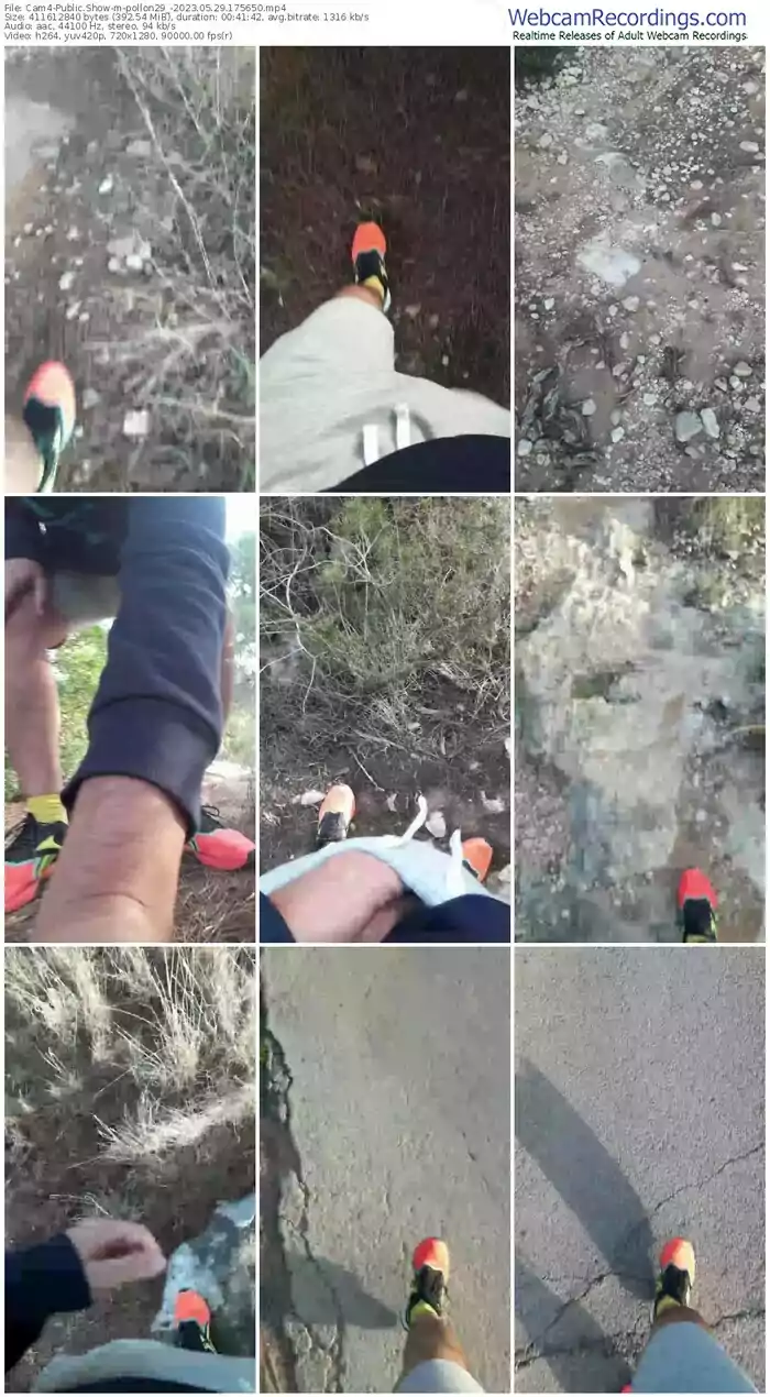 2023/05/29/cam4-pollon29_-17-56-50