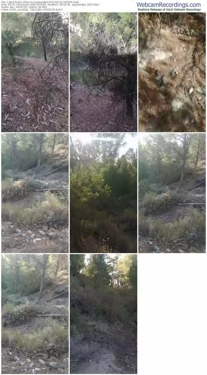 2023/06/02/cam4-laoquedad-18-52-09