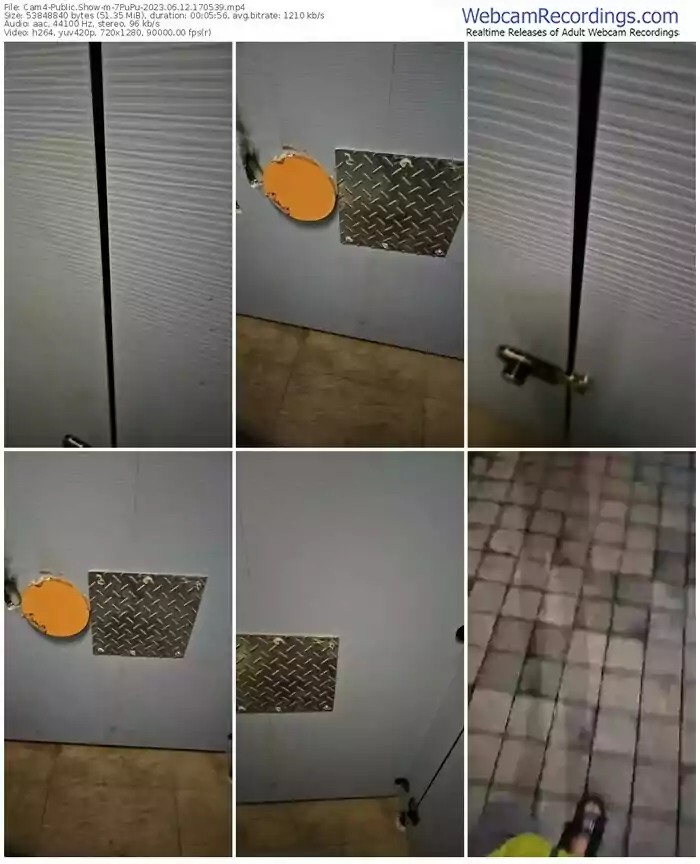 2023/06/12/cam4-7pupu-17-05-39