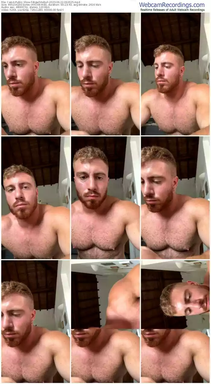 2023/06/22/cam4-bigwhitebull-09-20-25