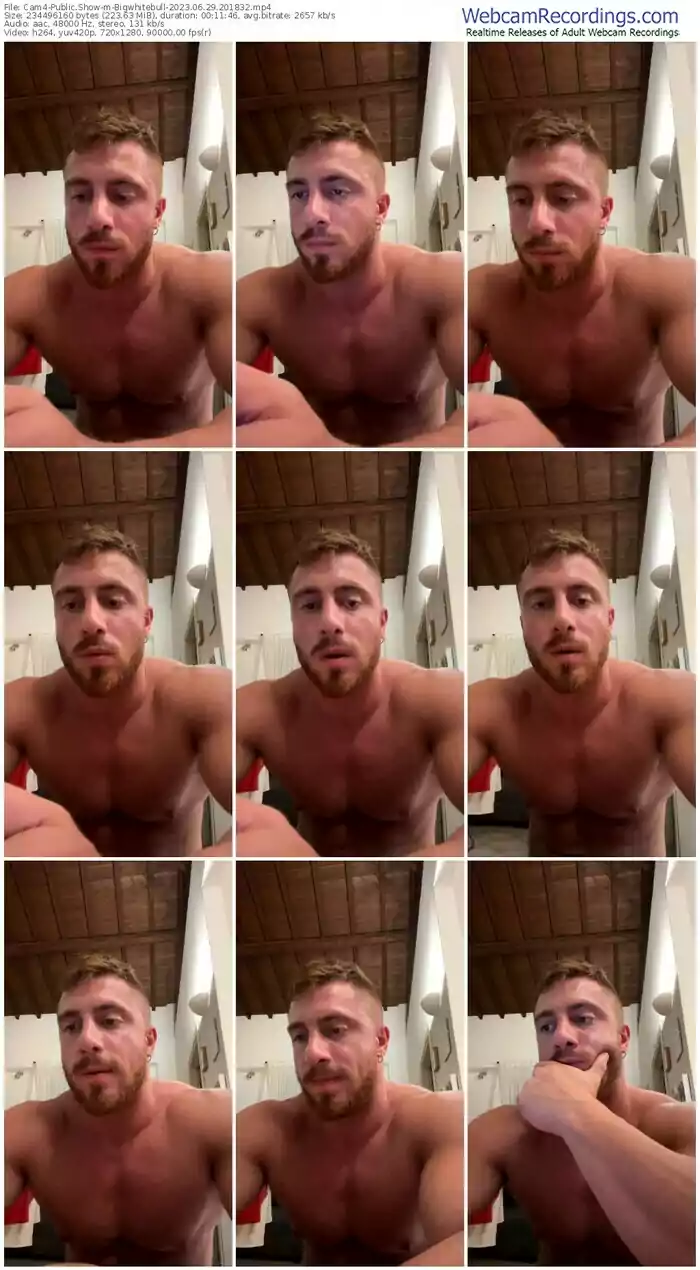 2023/06/29/cam4-bigwhitebull-20-18-32