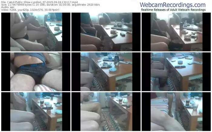 2023/09/24/cam4-pollen_07-13-11-17