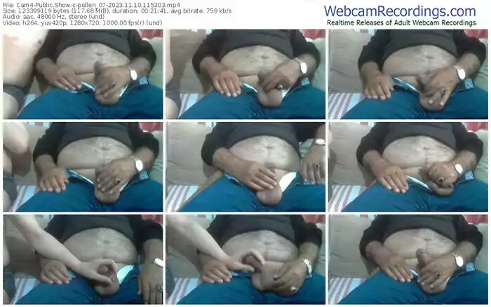 2023/11/10/cam4-pollen_07-11-53-03