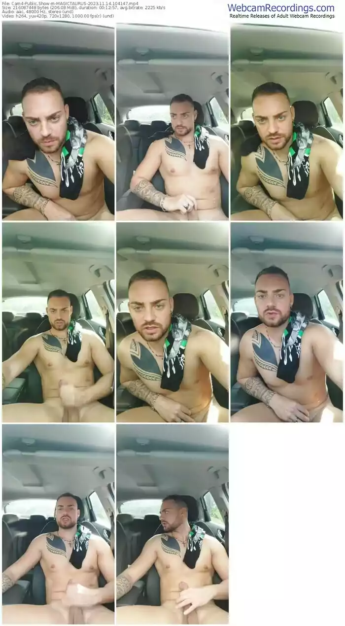 2023/11/14/cam4-magictaurus-10-41-47