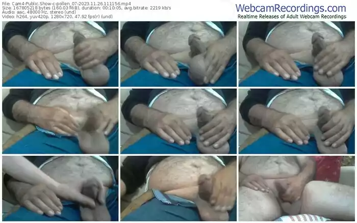 2023/11/26/cam4-pollen_07-11-11-56