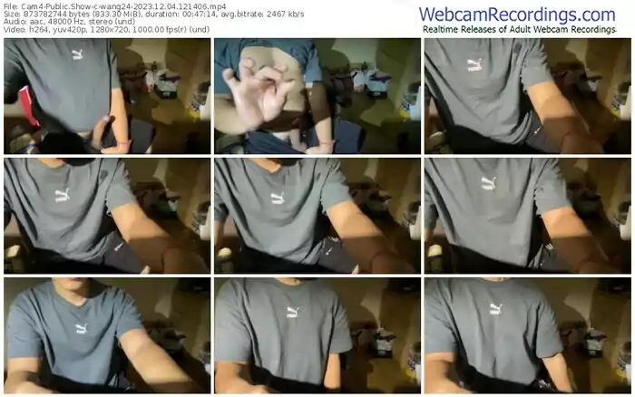 2023/12/04/cam4-wang24-12-14-06