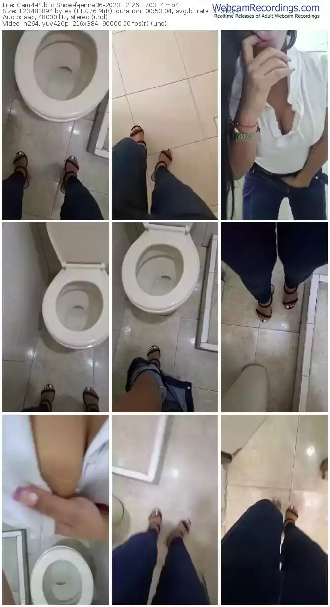 2023/12/26/cam4-jenna36-17-03-14