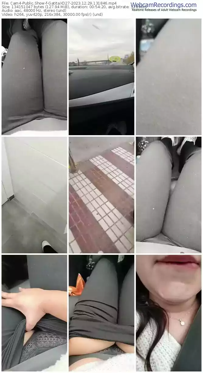 2023/12/29/cam4-gatitaxd27-13-18-46