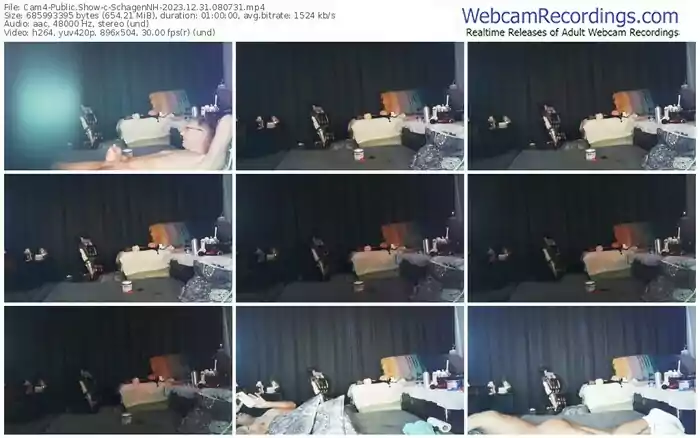 2023/12/31/cam4-schagennh-08-07-31
