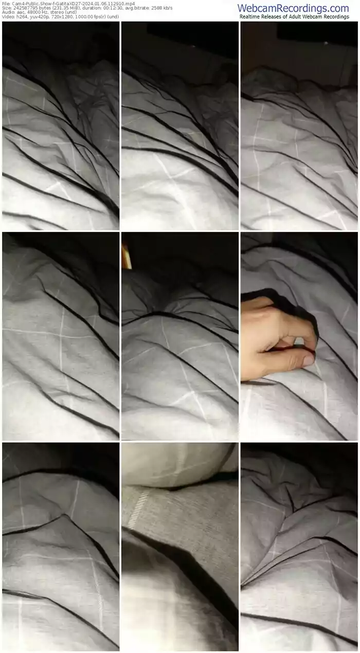 2024/01/06/cam4-gatitaxd27-11-29-10