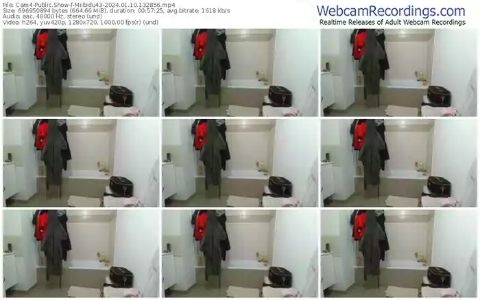2024/01/10/cam4-miibidu43-13-28-56