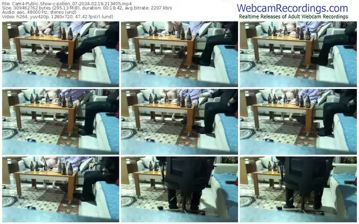 2024/02/19/cam4-pollen_07-21-34-05