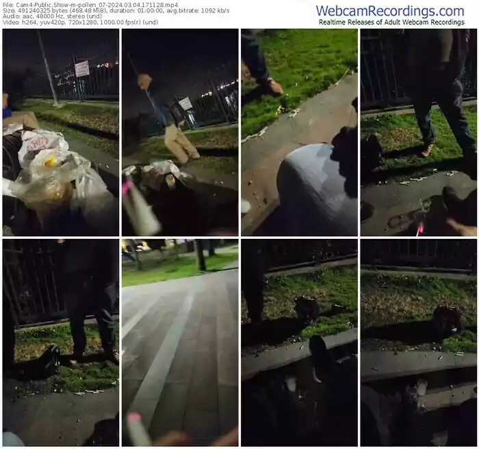 2024/03/04/cam4-pollen_07-17-11-28