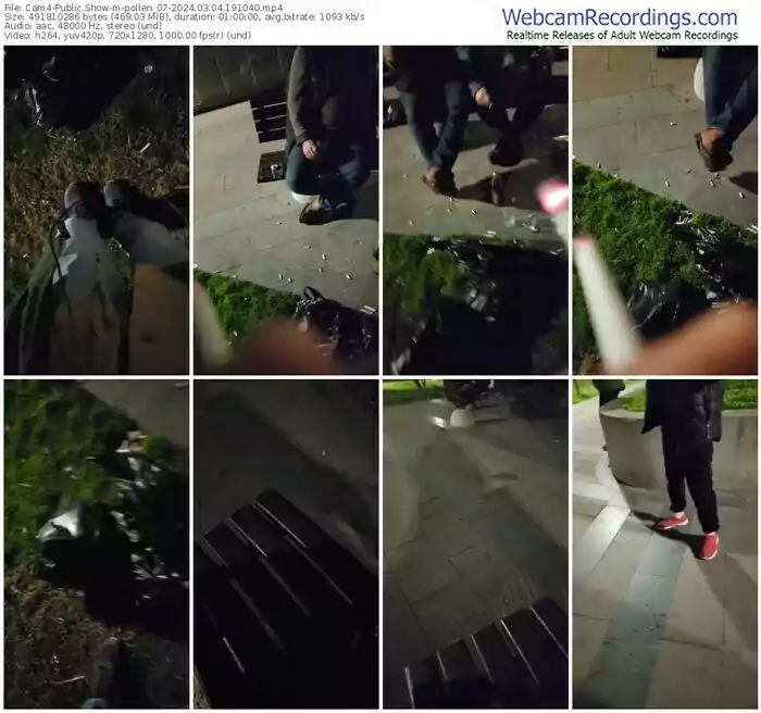 2024/03/04/cam4-pollen_07-19-10-40