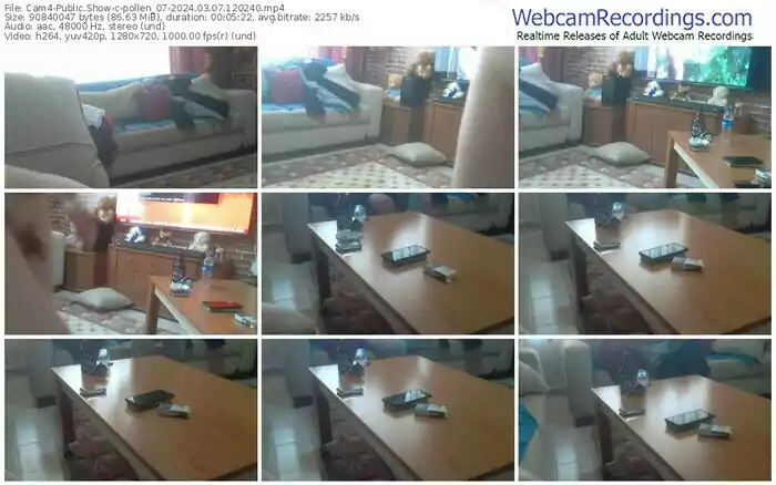 2024/03/07/cam4-pollen_07-12-02-40