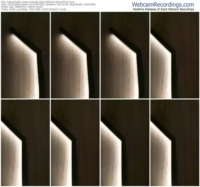 2024/03/08/cam4-libellule29-01-05-13