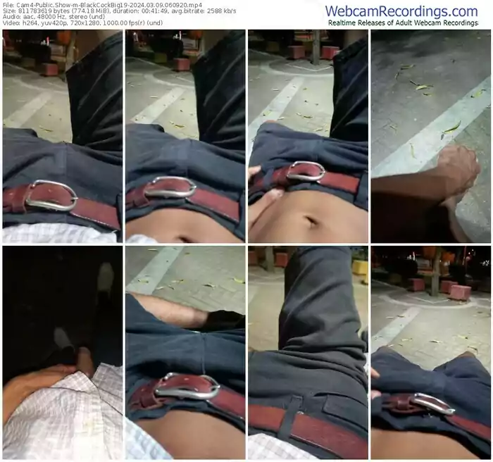 2024/03/09/cam4-blackcockbig19-06-09-20