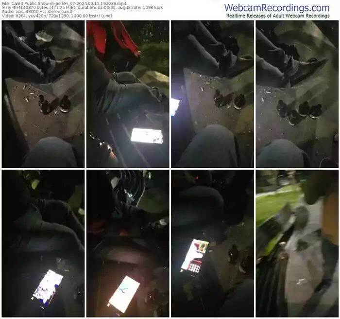 2024/03/11/cam4-pollen_07-19-20-39