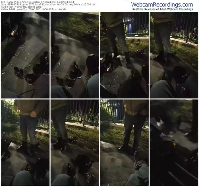 2024/03/11/cam4-pollen_07-20-25-34