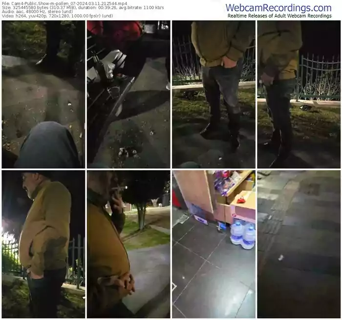 2024/03/11/cam4-pollen_07-21-25-44