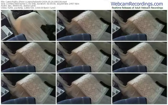 2024/03/16/cam4-lesrochelais60-09-02-24