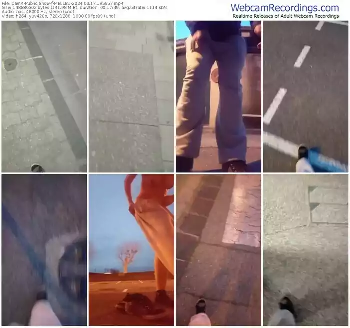 2024/03/17/cam4-mellb1-19-56-57