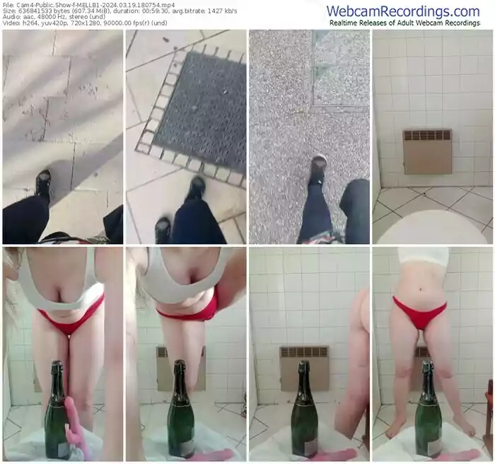 2024/03/19/cam4-mellb1-18-07-54