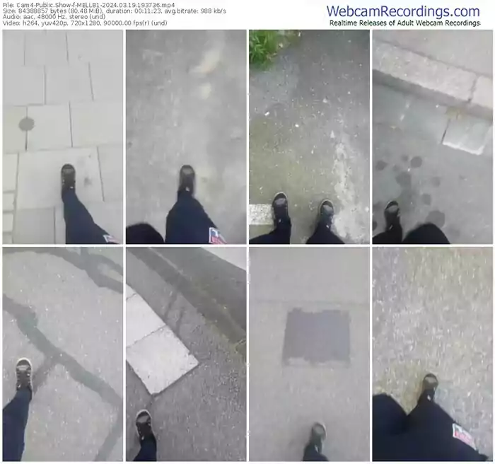 2024/03/19/cam4-mellb1-19-37-36