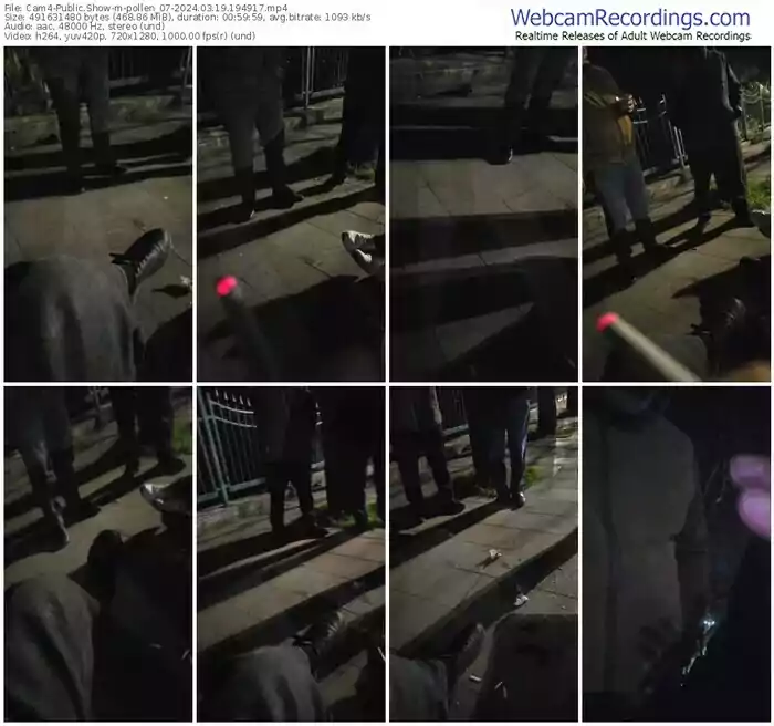 2024/03/19/cam4-pollen_07-19-49-17