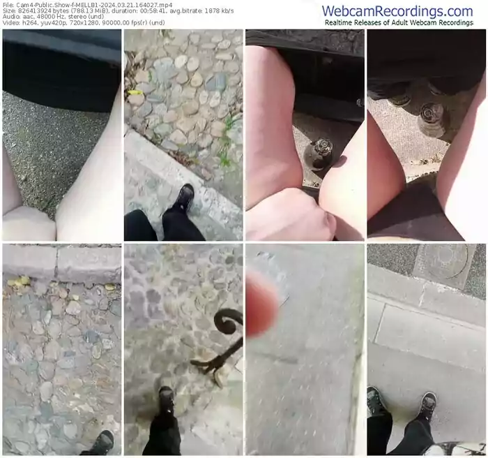 2024/03/21/cam4-mellb1-16-40-27