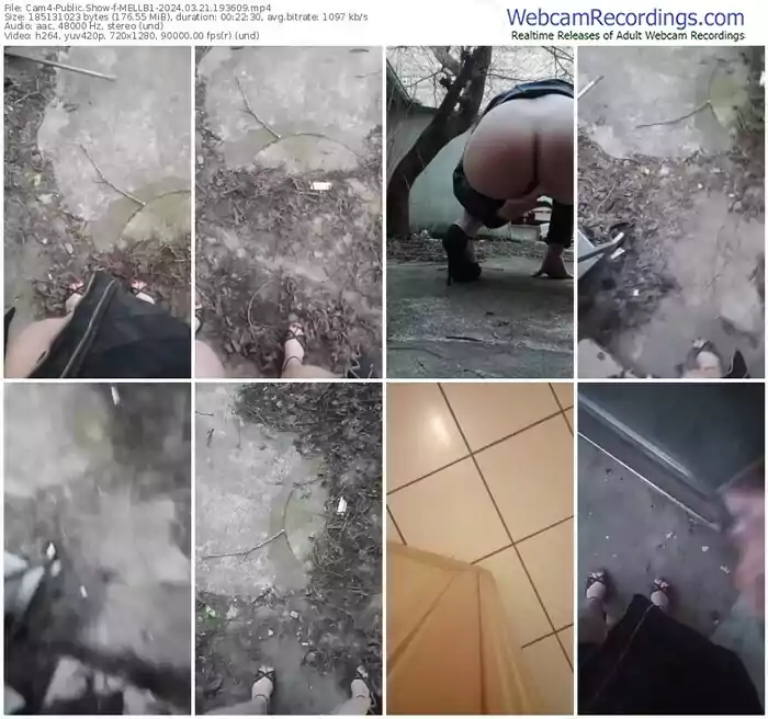 2024/03/21/cam4-mellb1-19-36-09