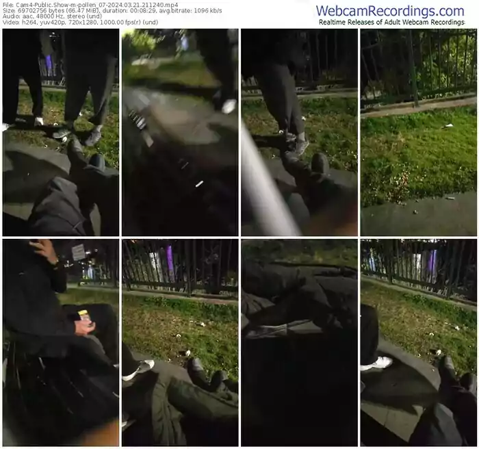 2024/03/21/cam4-pollen_07-21-12-40