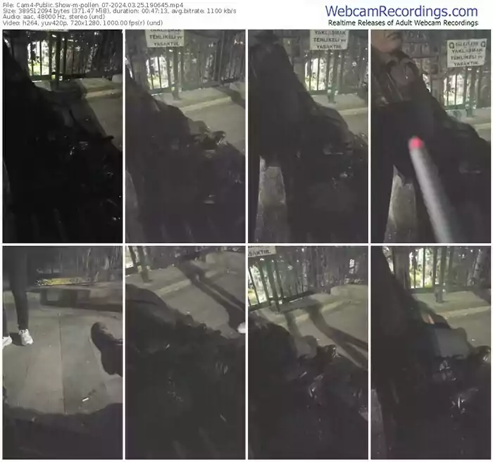 2024/03/25/cam4-pollen_07-19-06-45