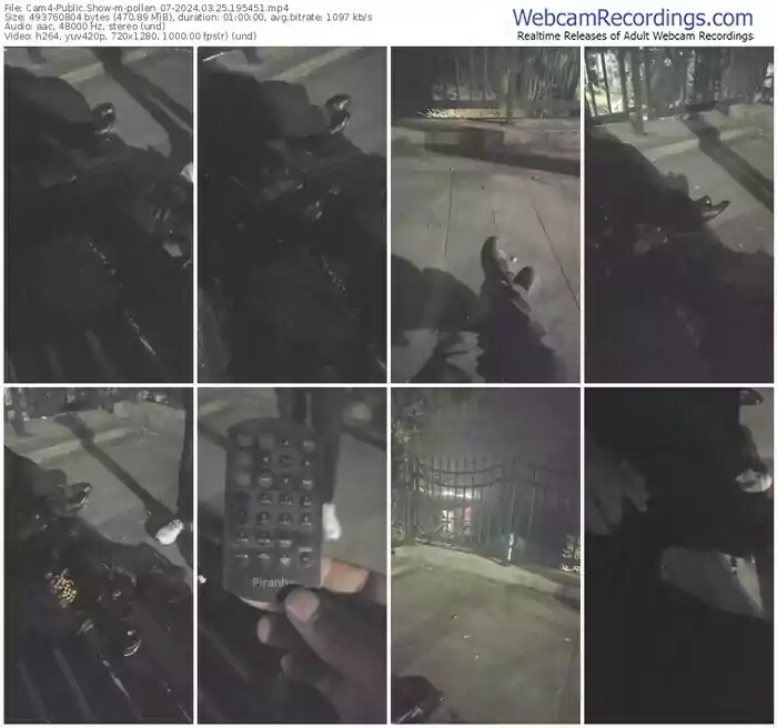 2024/03/25/cam4-pollen_07-19-54-51