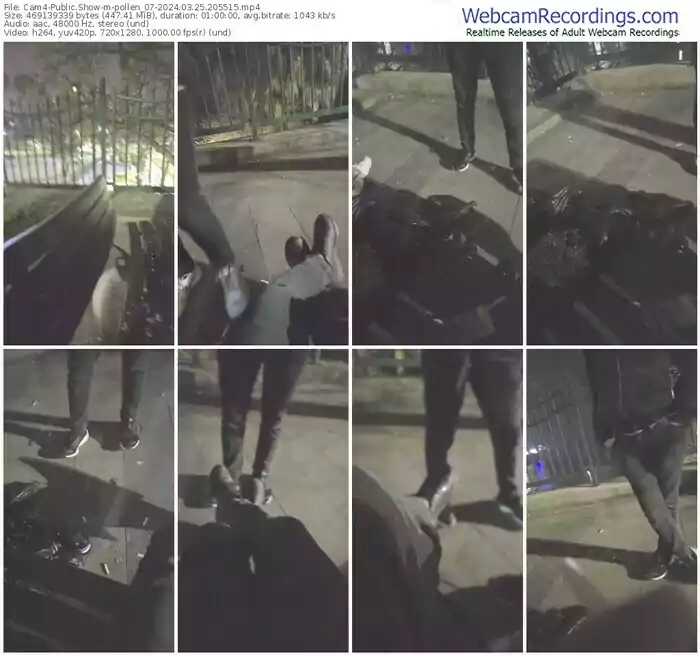 2024/03/25/cam4-pollen_07-20-55-15