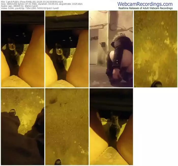 2024/03/26/cam4-mellb1-00-30-44