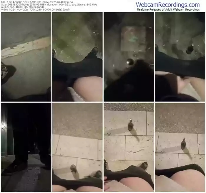 2024/03/26/cam4-mellb1-02-41-07