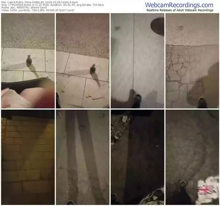 2024/03/26/cam4-mellb1-03-24-14