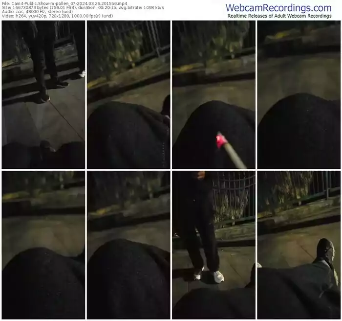 2024/03/26/cam4-pollen_07-20-15-56