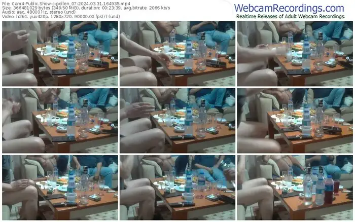 2024/03/31/cam4-pollen_07-16-49-35