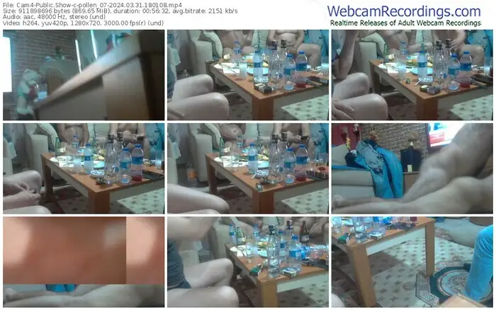 2024/03/31/cam4-pollen_07-18-01-08