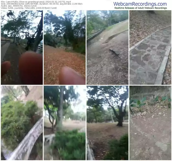 2024/03/31/cam4-grandeygruesa1-14-27-51